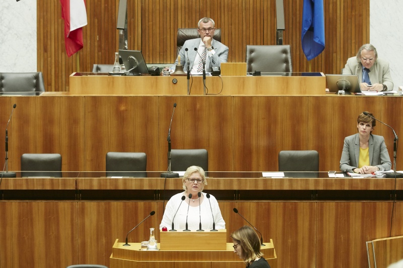 Nationalratsabgeordnete Dorothea Schittenhelm (V) am Rednerpult. Auf der Regierungsbank Gesundheitsministerin Pamela Rendi-Wagner (S). Am Präsidium Dritter Nationalratspräsident Norbert Hofer (F)