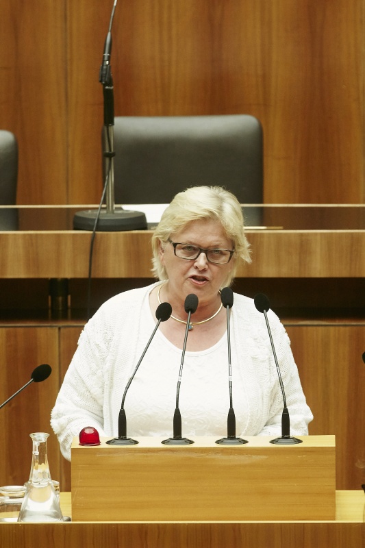 Nationalratsabgeordnete Dorothea Schittenhelm (V) am Rednerpult