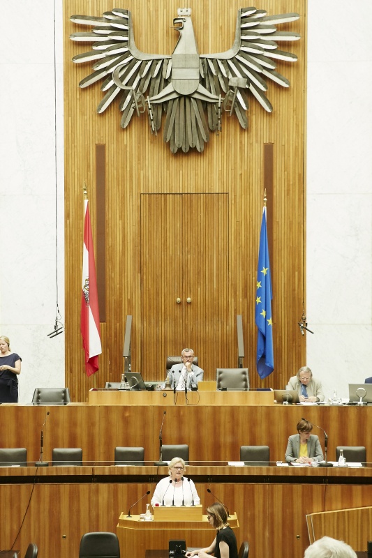 Nationalratsabgeordnete Dorothea Schittenhelm (V) am Rednerpult. Auf der Regierungsbank Gesundheitsministerin Pamela Rendi-Wagner (S). Am Präsidium Dritter Nationalratspräsident Norbert Hofer (F)