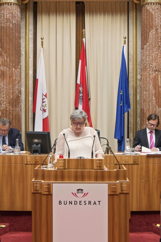 Bundesrätin Inge Posch-Gruska (S) am Rednerpult