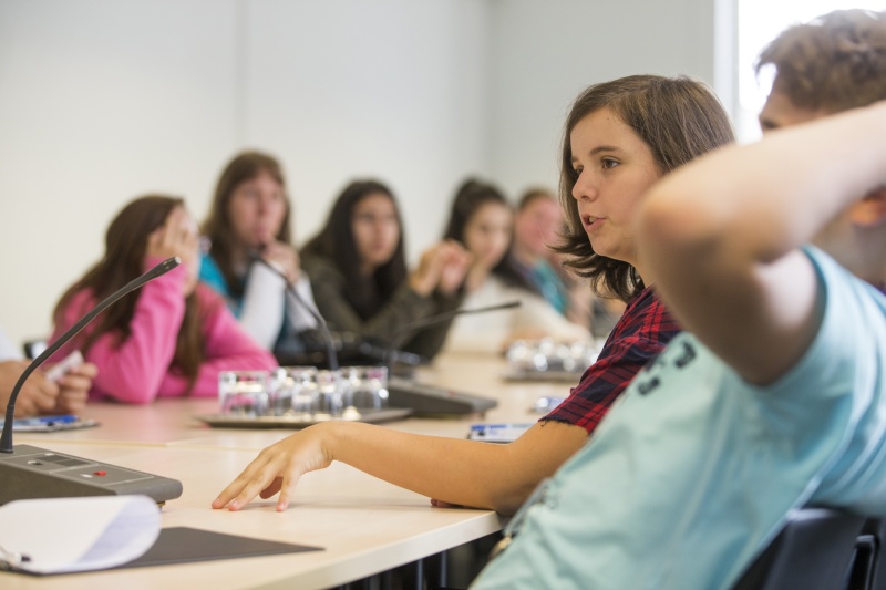 SchülerInnen informieren sich über den Weg eines Gesetzes von der Idee bis zur Verabschiedung