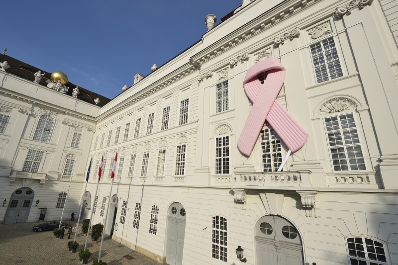 Pink Ribbon 2017 beim Haupteingang zum Parlament