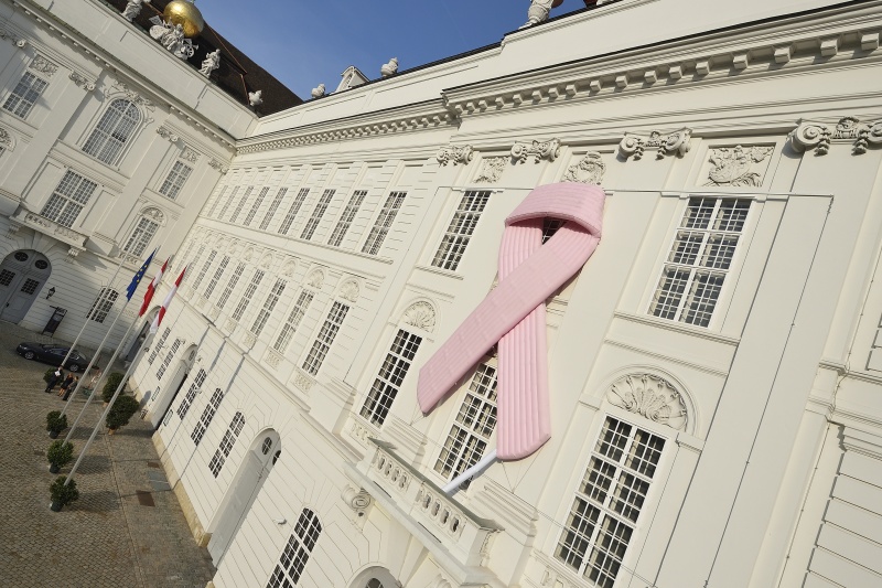 Pink Ribbon 2017 beim Haupteingang zum Parlament