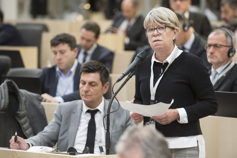 Veranstaltungsteilnehmerin bei ihrer Wortmeldung