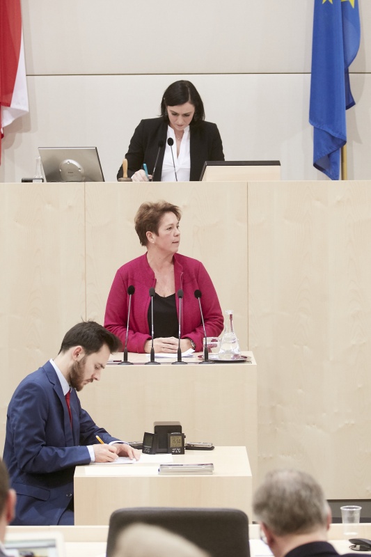 Nationalratsabgeordnete Angela Lueger (S)