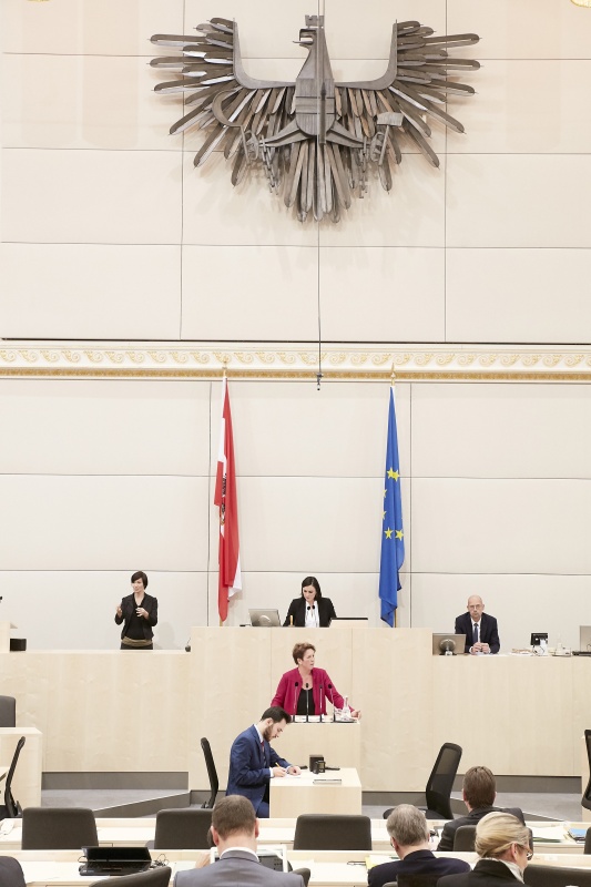 Nationalratsabgeordnete Angela Lueger (S)