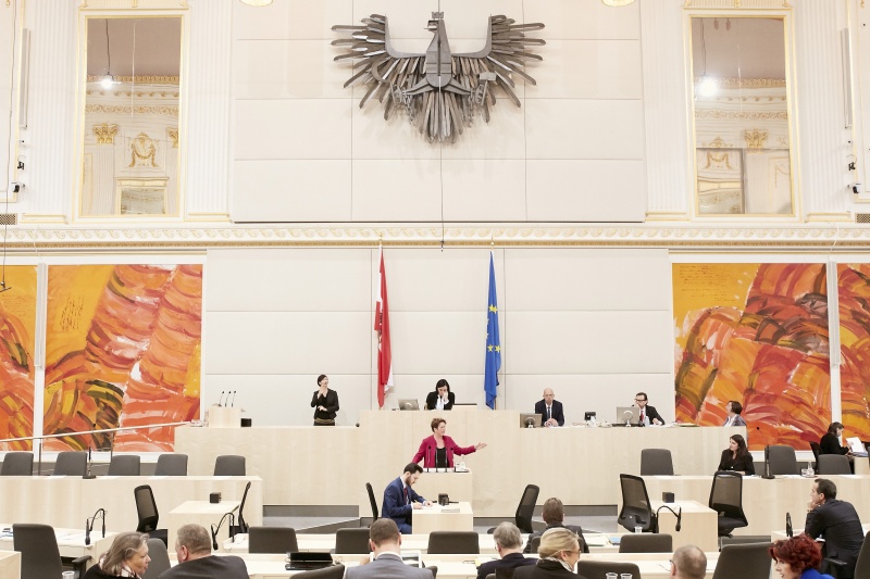 Nationalratsabgeordnete Angela Lueger (S)