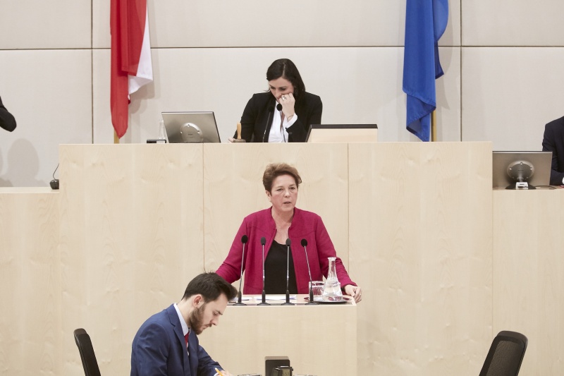 Nationalratsabgeordnete Angela Lueger (S)