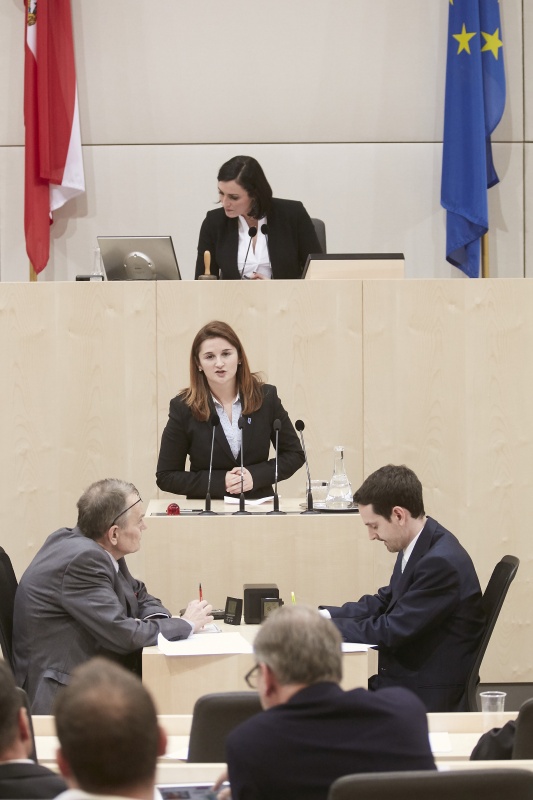 Nationalratsabgeordnete Marlene Svazek (F)