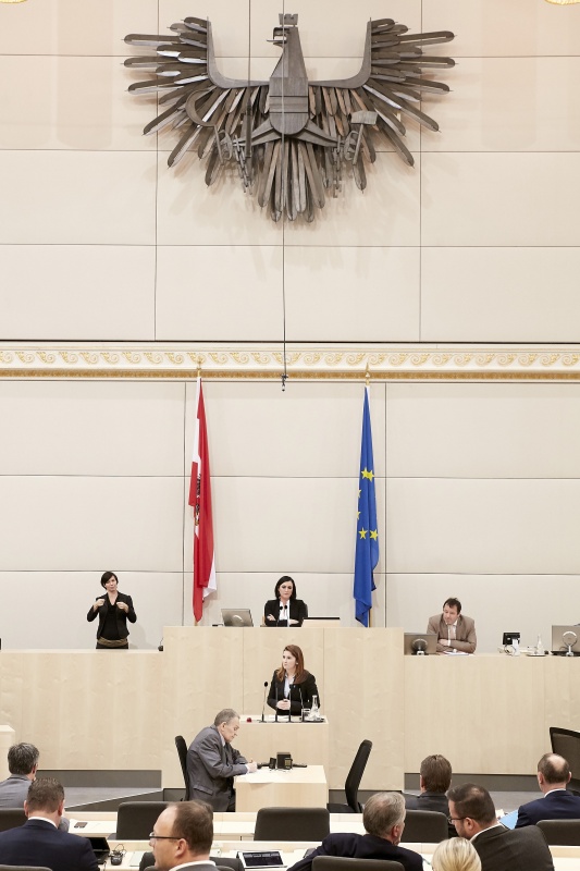 Nationalratsabgeordnete Marlene Svazek (F)