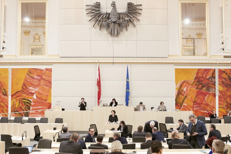 Nationalratsabgeordnete Cornelia Ecker (S)