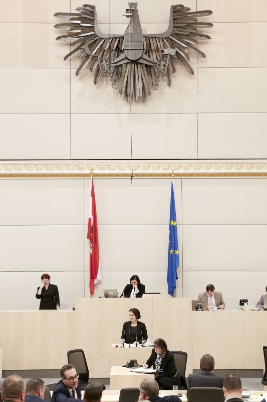 Nationalratsabgeordnete Cornelia Ecker (S)