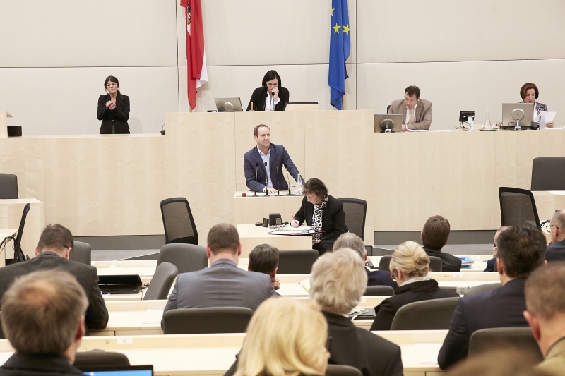 Klubobmann Matthias Strolz (N)