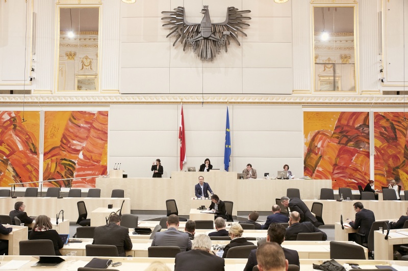 Klubobmann Matthias Strolz (N)