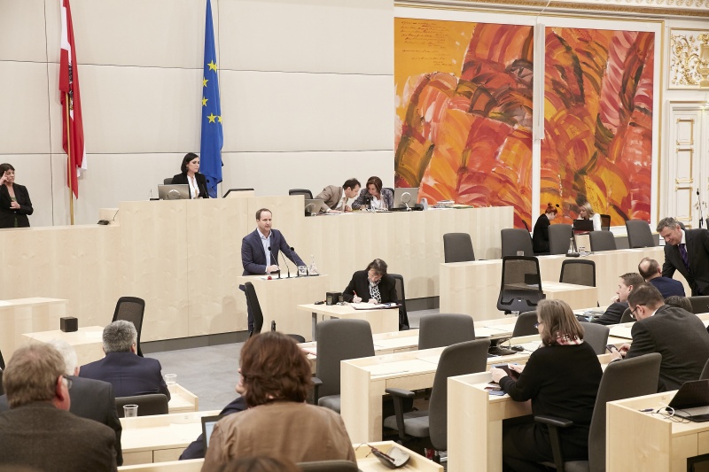 Klubobmann Matthias Strolz (N)