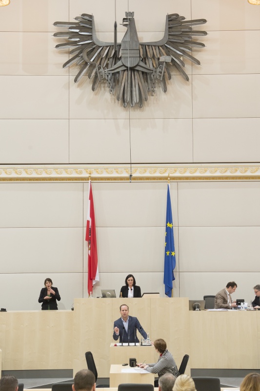 Klubobmann Matthias Strolz (N)