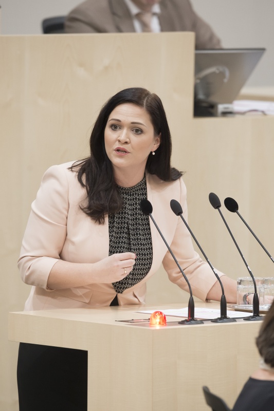 Nationalratsabgeordnete Daniela Holzinger-Vogtenhuber (P)