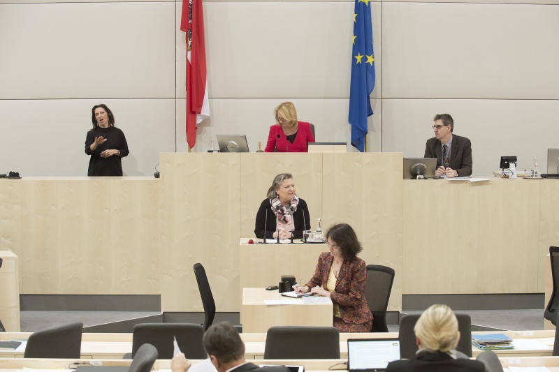 Nationalratsabgeordnete Anneliese Kitzmüller (F)