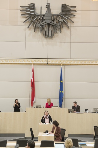 Nationalratsabgeordnete Anneliese Kitzmüller (F)