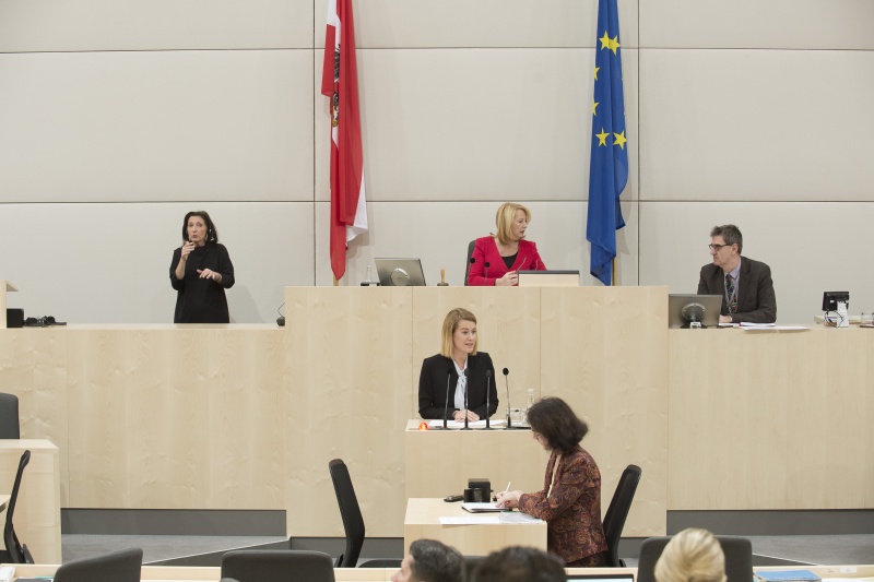 Nationalratsabgeordnete Claudia Gamon (N)