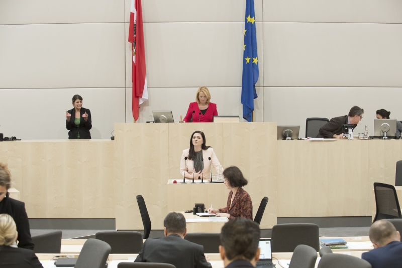 Nationalratsabgeordnete Daniela Holzinger-Vogtenhuber (P)