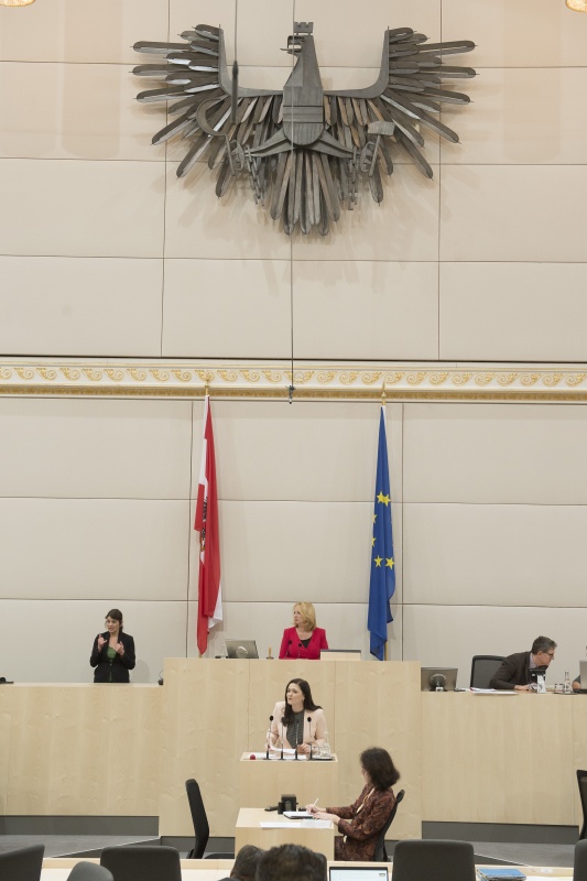 Nationalratsabgeordnete Daniela Holzinger-Vogtenhuber (P)