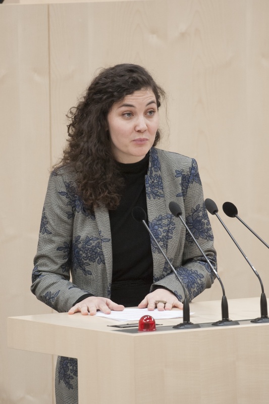 Am Rednerpult: Nationalratsabgeordnete Stephanie Cox (P)