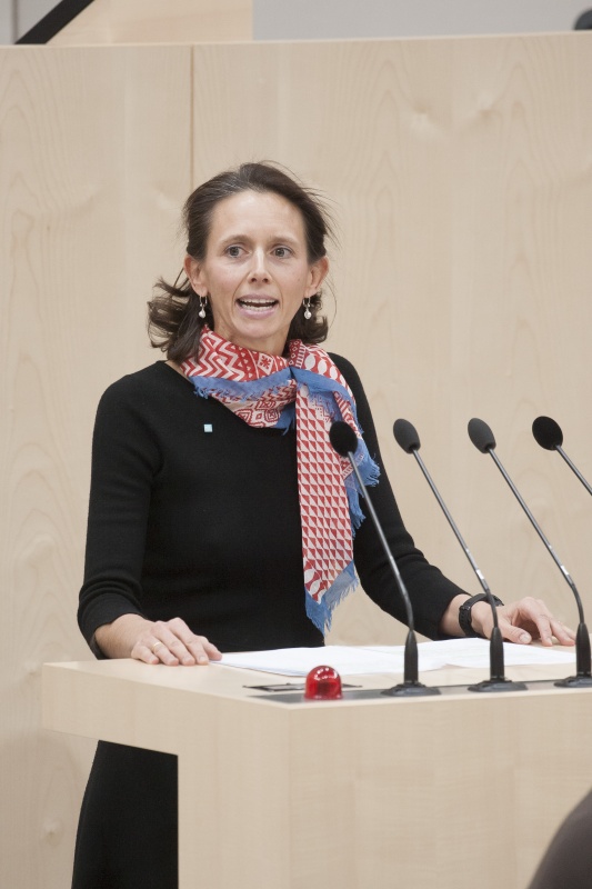 Am Rednerpult: Nationalratsabgeordnete Maria Theresia Niss (V)