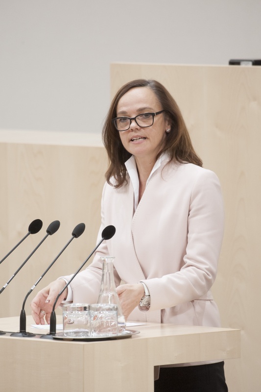 Am Rednerpult: Nationalratsabgeordnete Sonja Hammerschmid (S)