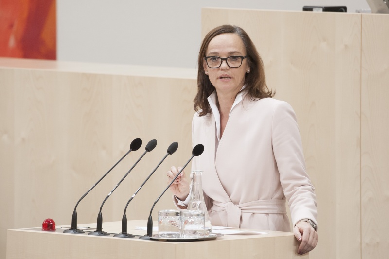 Am Rednerpult: Nationalratsabgeordnete Sonja Hammerschmid (S)