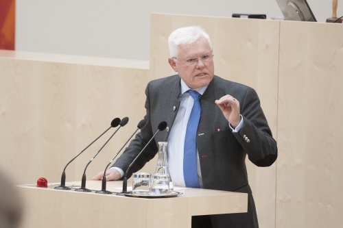 Am Rednerpult: Nationalratsabgeordneter Werner Neubauer (F)