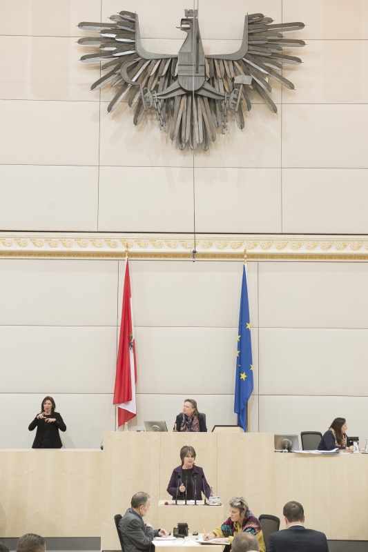 Am Rednerpult: Nationalratsabgeordnete Andrea Kuntzl (S). Am Präsidium: Nationalratspräsidentin Anneliese Kitzmüller (F)