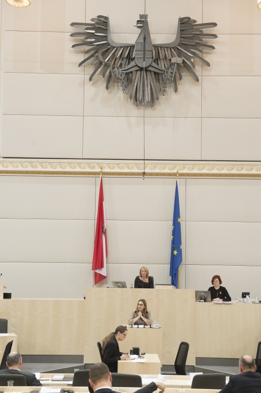 Am Rednerpult: Nationalratsabgeordnete Carmen Jeitler-Cincelli (V). Am Präsidium: Nationalratspräsidentin Doris Bures (S)