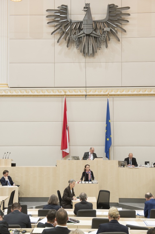 Am Rednerpult: Nationalratsabgeordnete Maria Theresia Niss (V). Am Präsidium: Nationalratspräsident Wolfgang Sobotka (V). Auf der Regierungsbank: Bundeskanzler Sebastian Kurz (V)