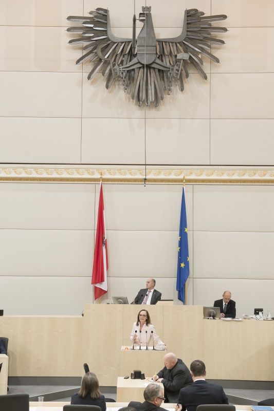 Am Rednerpult: Nationalratsabgeordnete Sonja Hammerschmid (S). Am Präsidium: Nationalratspräsident Wolfgang Sobotka (V)