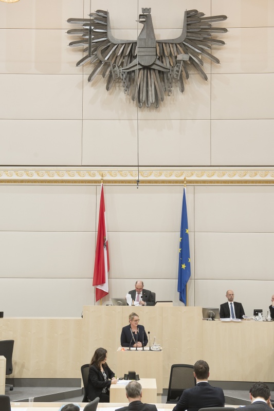 Am Rednerpult: Nationalratsabgeordnete Carmen Schimanek (F). Am Präsidium: Nationalratspräsident Wolfgang Sobotka (V)