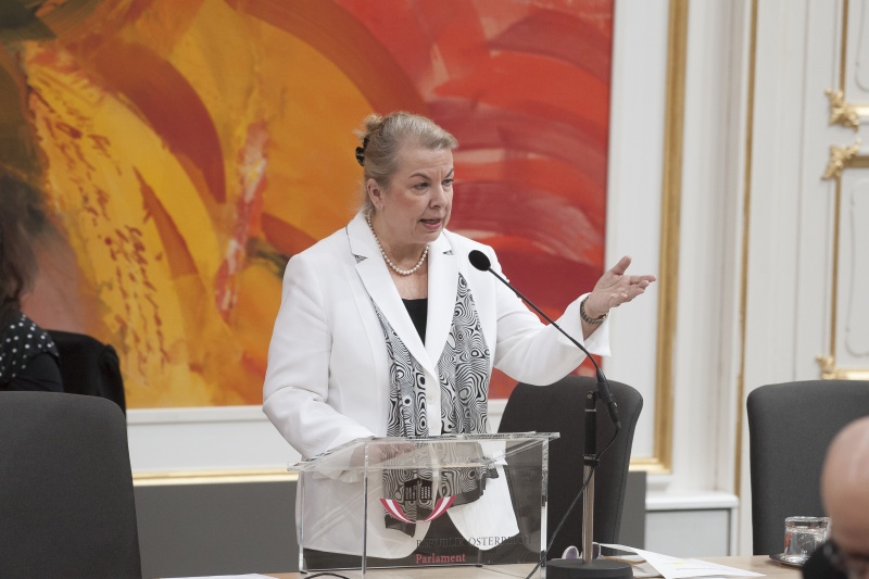 Auf der Regierungsbank: Bundesministerin für Arbeit, Soziales, Gesundheit und Konsumentenschutz Beate Hartinger-Klein (F)