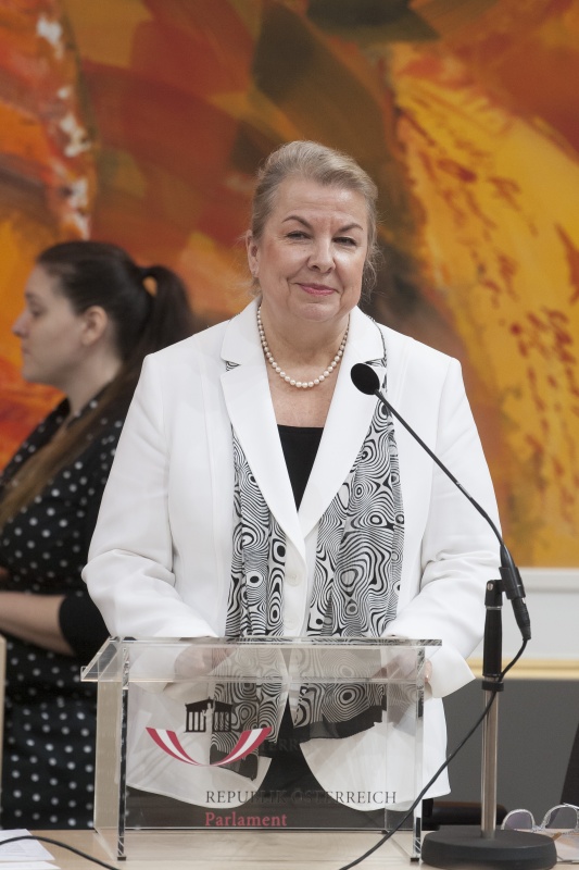 Auf der Regierungsbank: Bundesministerin für Arbeit, Soziales, Gesundheit und Konsumentenschutz Beate Hartinger-Klein (F)