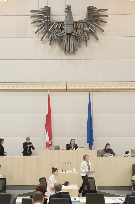 Am Rednerpult: Nationalratsabgeordnete Stephanie Krisper (N). Am Präsidium: Nationalratspräsidentin Anneliese Kitzmüller (F)