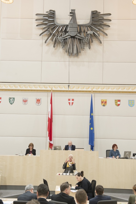 Am Rednerpult: Bundesrätin Monika Mühlwerth (F). Am Präsidium: Bundesratspräsident Reinhard Todt (S)