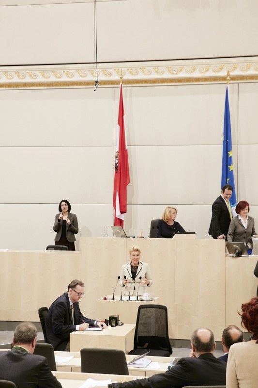Nationalratsabgeordnete Sandra Wassermann (F) am Rednerpult