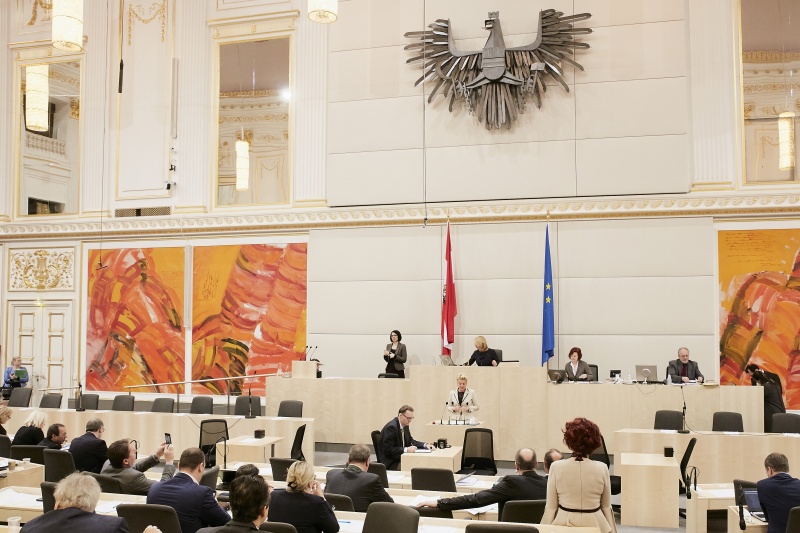 Nationalratsabgeordnete Sandra Wassermann (F) am Rednerpult