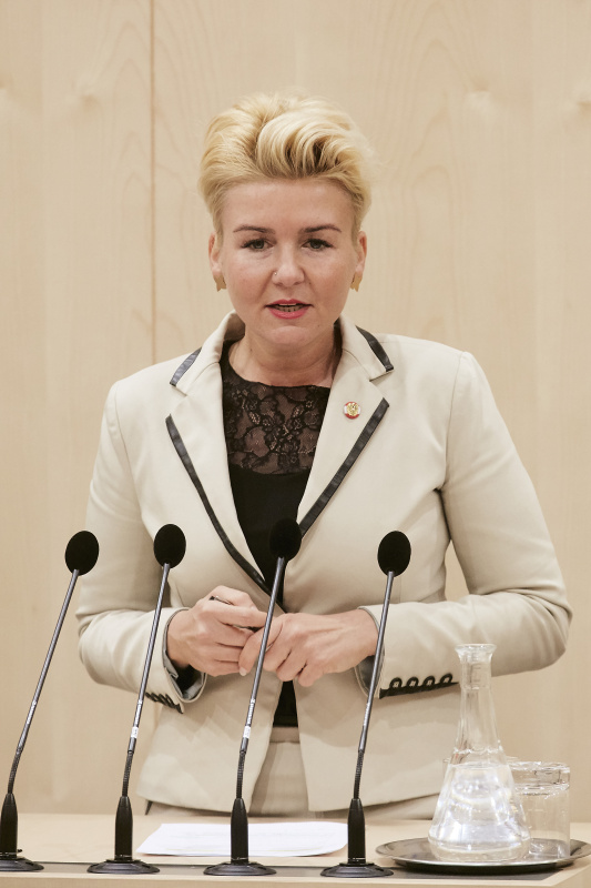 Nationalratsabgeordnete Sandra Wassermann (F) am Rednerpult
