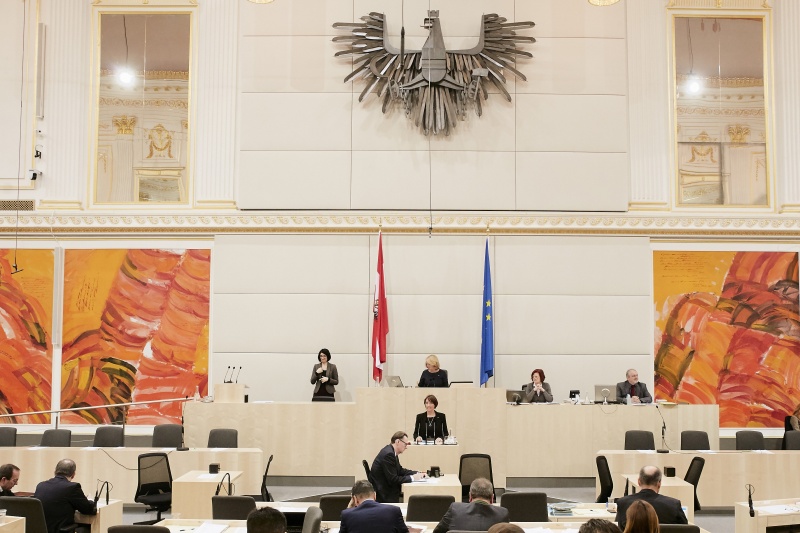 Nationalratsabgeordnete Angelika Kuss-Bergner (V) am Rednerpult