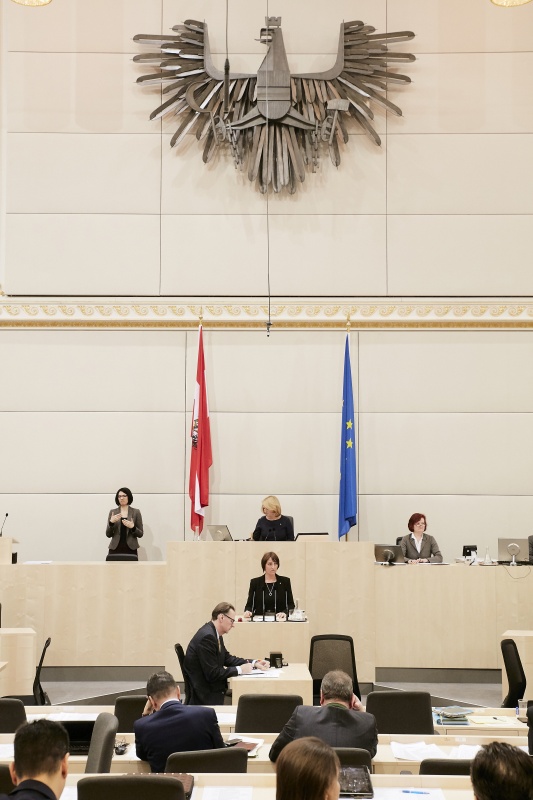 Nationalratsabgeordnete Angelika Kuss-Bergner (V) am Rednerpult