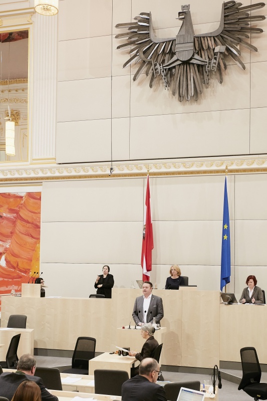 Nationalratsabgeordneter Mario Lindner (S) am Rednerpult