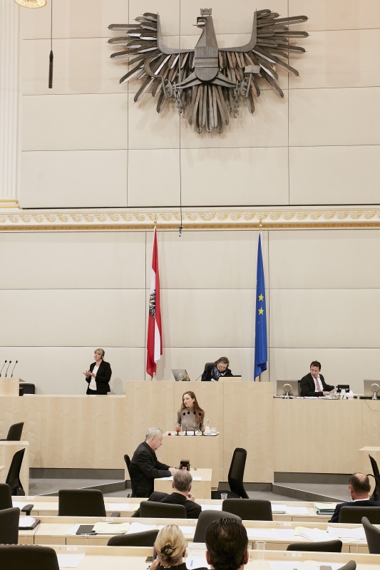 Nationalratsabgeordnete Susanne Fürst (F) am Rednerpult