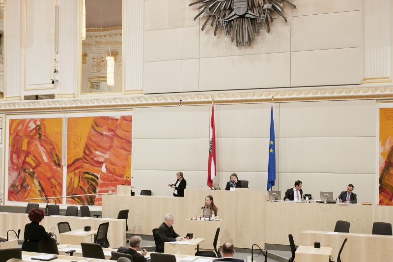 Nationalratsabgeordnete Susanne Fürst (F) am Rednerpult