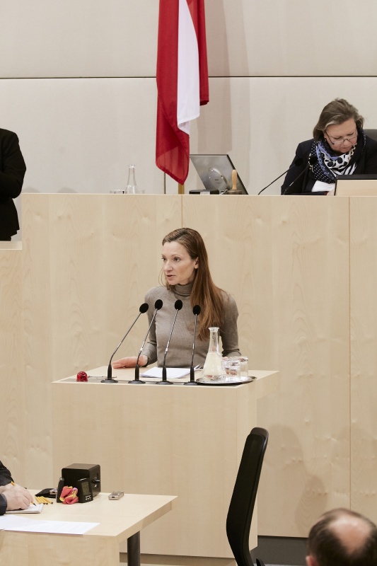 Nationalratsabgeordnete Susanne Fürst (F) am Rednerpult