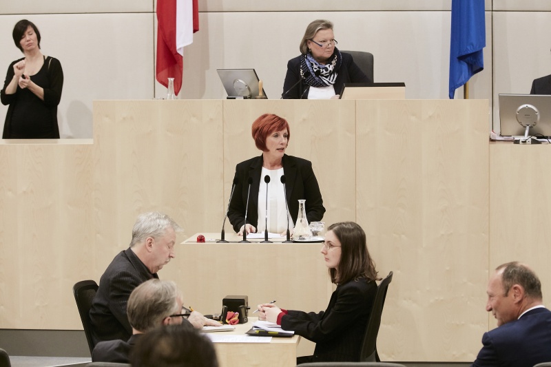 Nationalratsabgeordnete Klaudia Friedl (S) am Rednerpult
